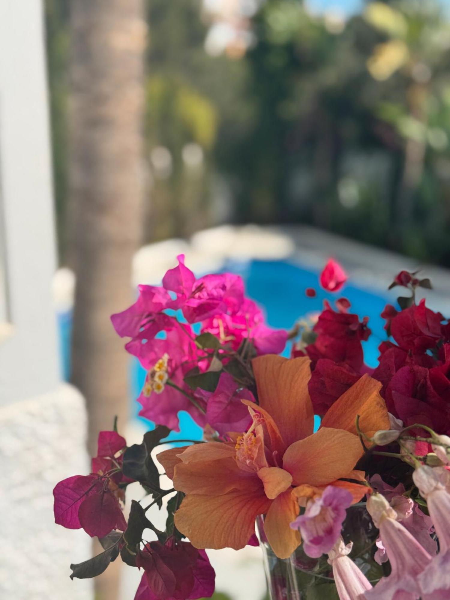 Villa Nerja Exterior photo